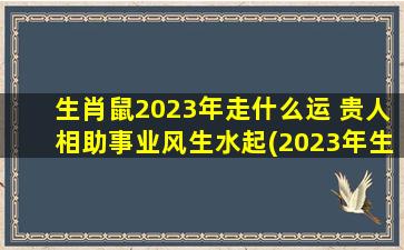 生肖鼠2023年走什么运 贵人相助事业风生水起(2023年生肖鼠事业贵人缘助力，好运连连，飞黄腾达！)